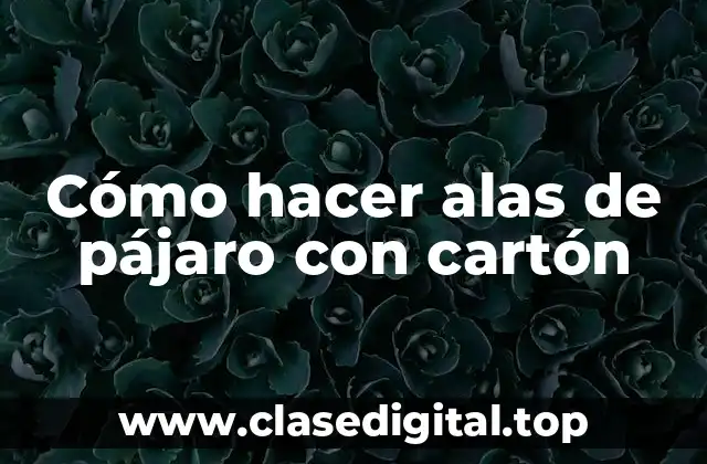 Cómo hacer alas de pájaro con cartón