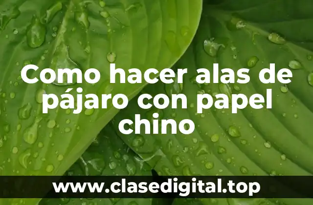 Como hacer alas de pájaro con papel chino
