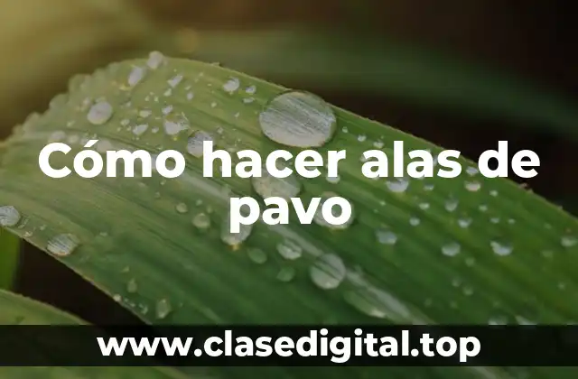 Cómo hacer alas de pavo