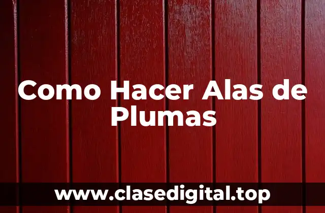 Como Hacer Alas de Plumas