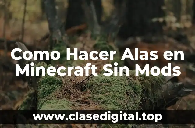 Como Hacer Alas en Minecraft Sin Mods