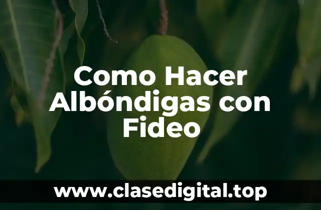 ¿Qué son las Albóndigas con Fideo y para qué sirven?