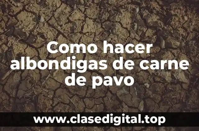 Como hacer albondigas de carne de pavo