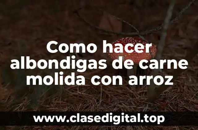 Como hacer albondigas de carne molida con arroz