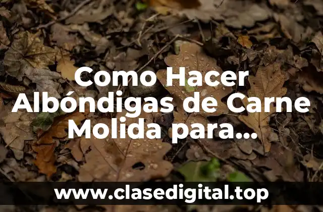 ¿Qué son las Albóndigas de Carne Molida y para qué Sirven?