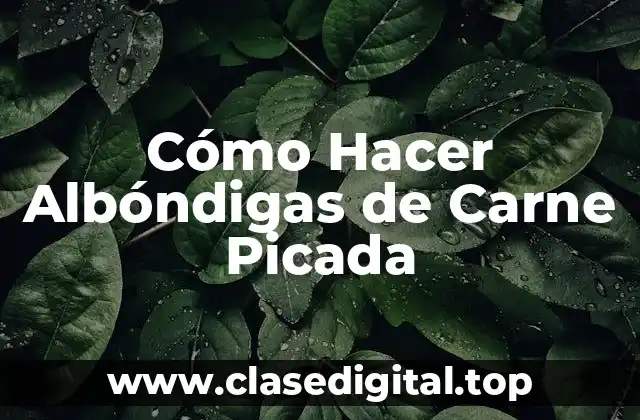 Cómo Hacer Albóndigas de Carne Picada