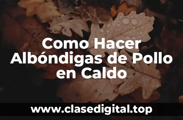 ¿Qué son las Albóndigas de Pollo en Caldo?