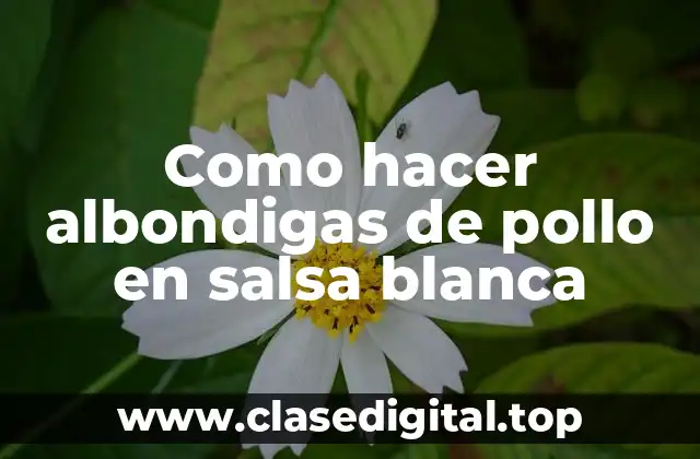 Como hacer albondigas de pollo en salsa blanca