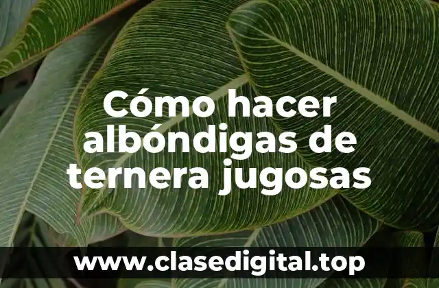 Cómo hacer albóndigas de ternera jugosas