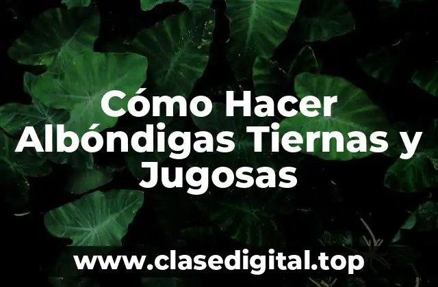 ¿Qué son las Albóndigas y para qué Sirven?