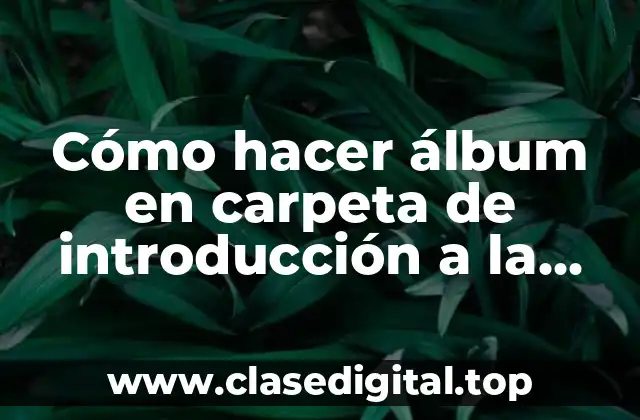 Cómo hacer álbum en carpeta de introducción a la física
