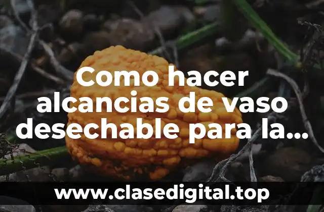 Como hacer alcancias de vaso desechable para la ofrenda viuda