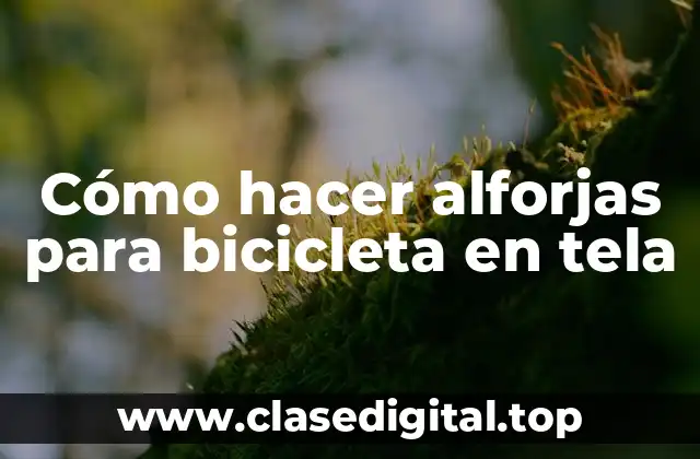 Cómo hacer alforjas para bicicleta en tela