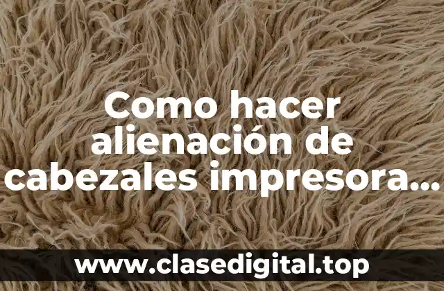 ¿Qué es la alienación de cabezales de impresora E471 y para qué sirve?