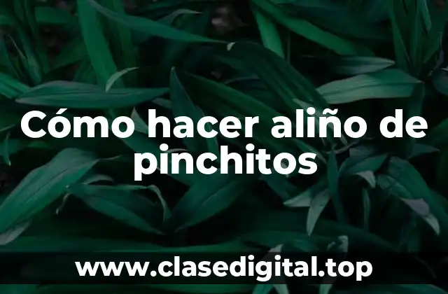 Cómo hacer aliño de pinchitos