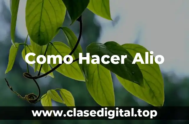 Como Hacer Alio