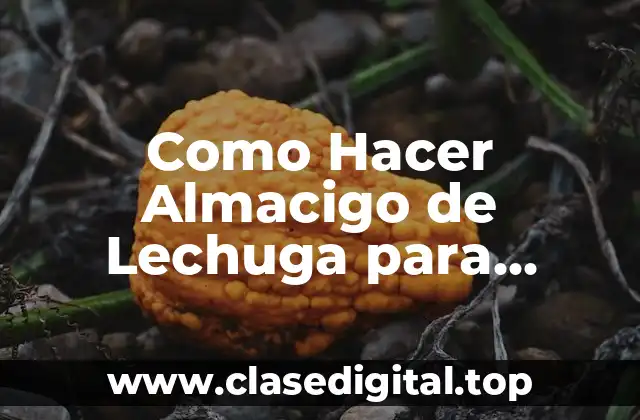 Como Hacer Almacigo de Lechuga para Hidroponia
