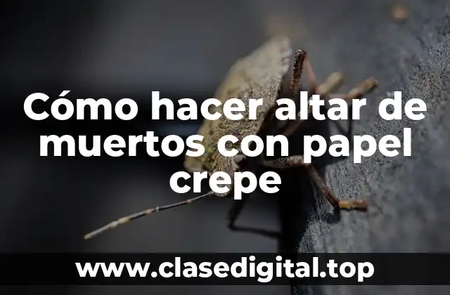 Cómo hacer altar de muertos con papel crepe