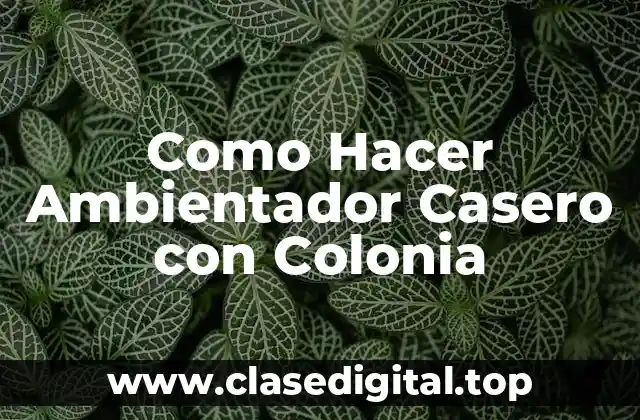 Como Hacer Ambientador Casero con Colonia