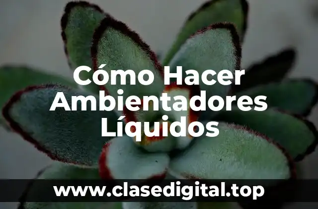 Cómo Hacer Ambientadores Líquidos