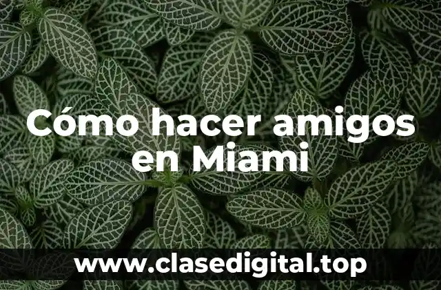 Cómo hacer amigos en Miami