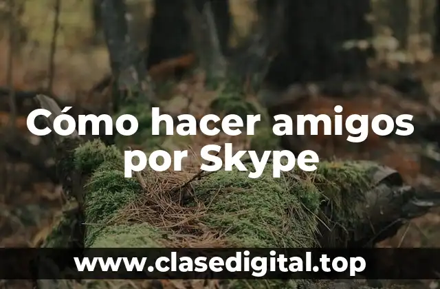 Cómo hacer amigos por Skype