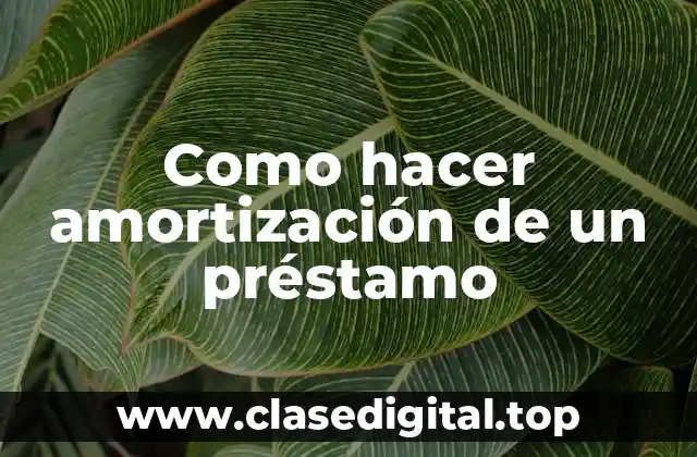 Como hacer amortización de un préstamo