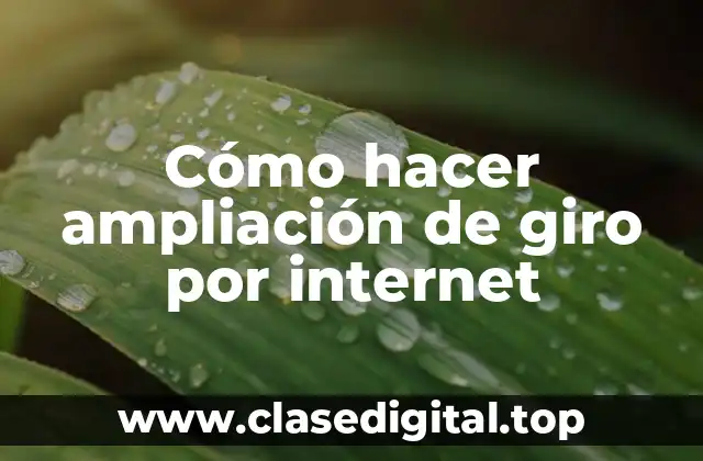 Cómo hacer ampliación de giro por internet