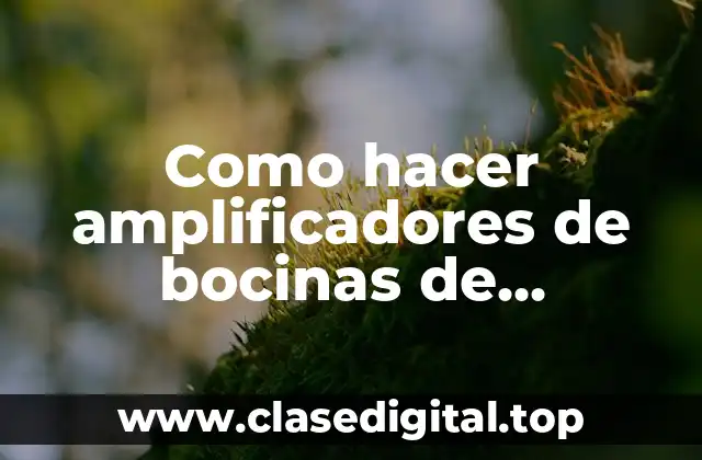 ¿Qué es un amplificador de bocinas de computadora?