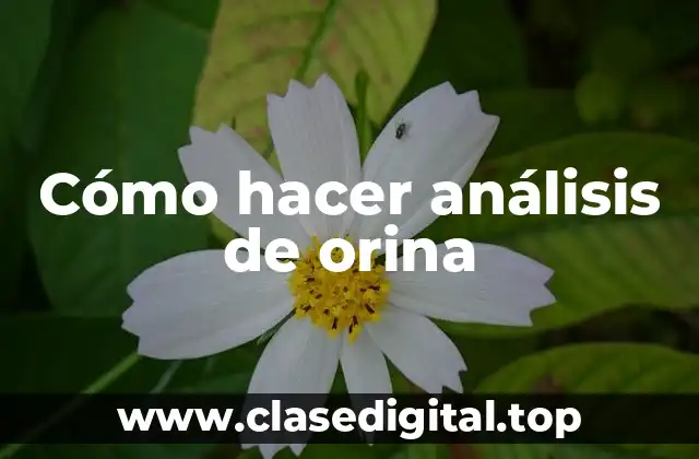 ¿Qué es un análisis de orina?