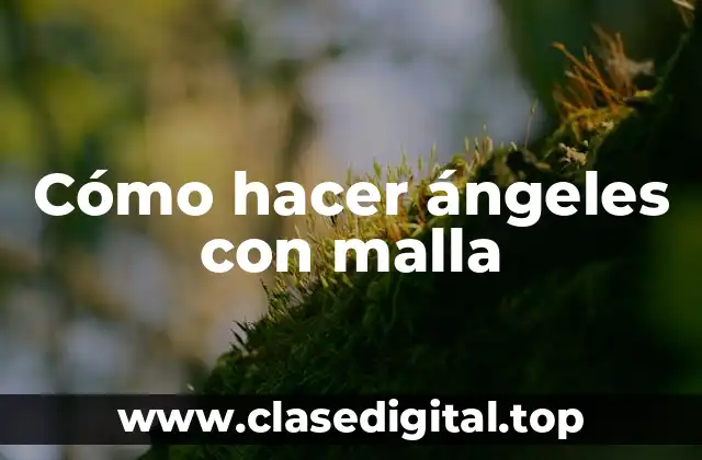 ¿Qué son los ángeles con malla?