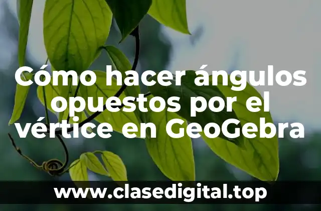 Cómo hacer ángulos opuestos por el vértice en GeoGebra