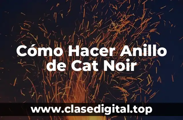 Cómo Hacer Anillo de Cat Noir