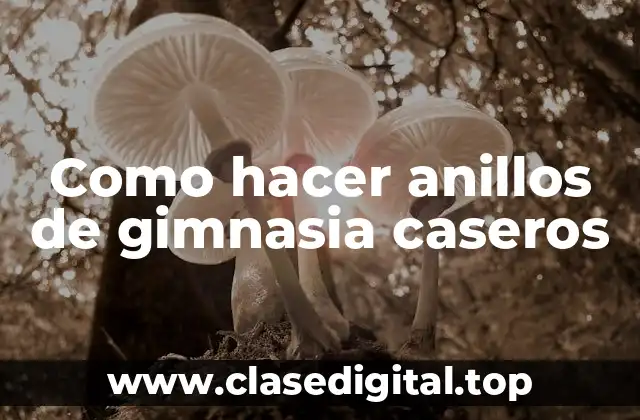 Anillos de gimnasia caseros