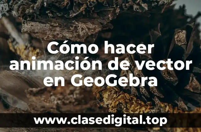 Cómo hacer animación de vector en GeoGebra