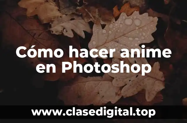 ¿Qué es el anime en Photoshop?