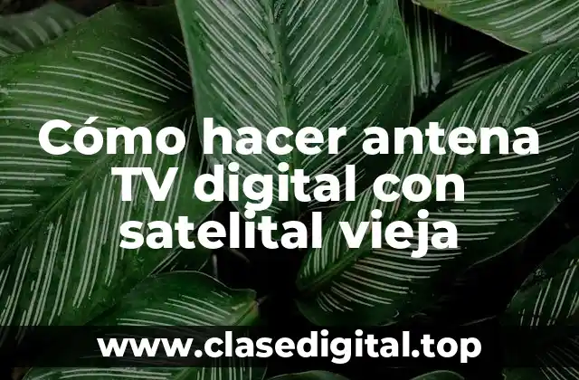 Cómo hacer antena TV digital con satelital vieja