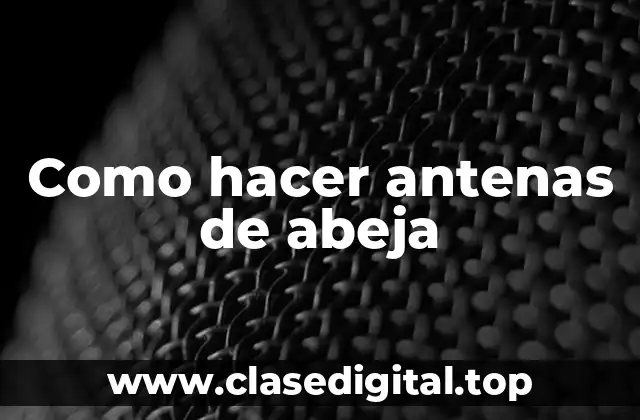 Como hacer antenas de abeja