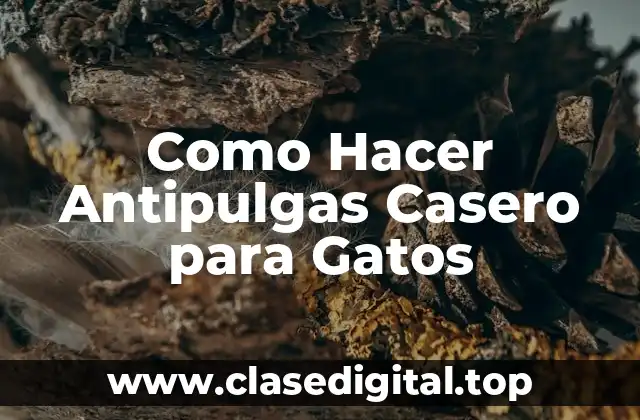 ¿Qué es un Antipulgas Casero para Gatos?