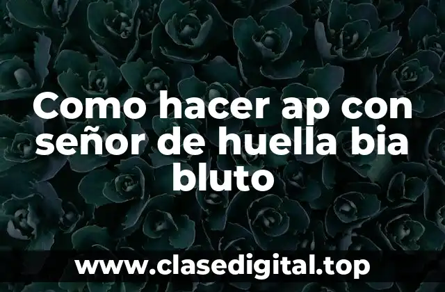 Que es un ap con señor de huella bia bluto