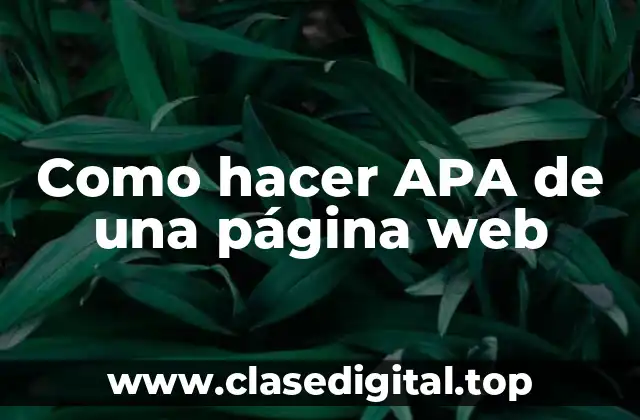 Como hacer APA de una página web