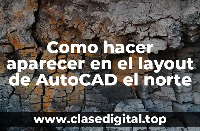 Como hacer aparecer en el layout de AutoCAD el norte