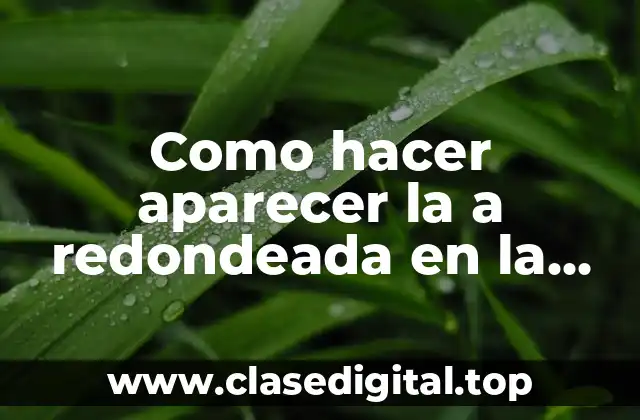 Como hacer aparecer la a redondeada en la computadora