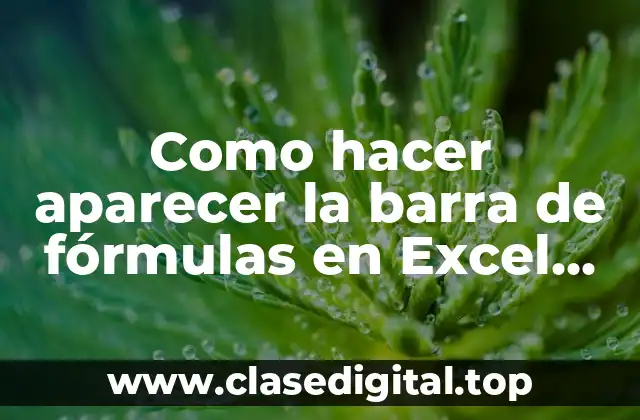 Como hacer aparecer la barra de fórmulas en Excel 2013