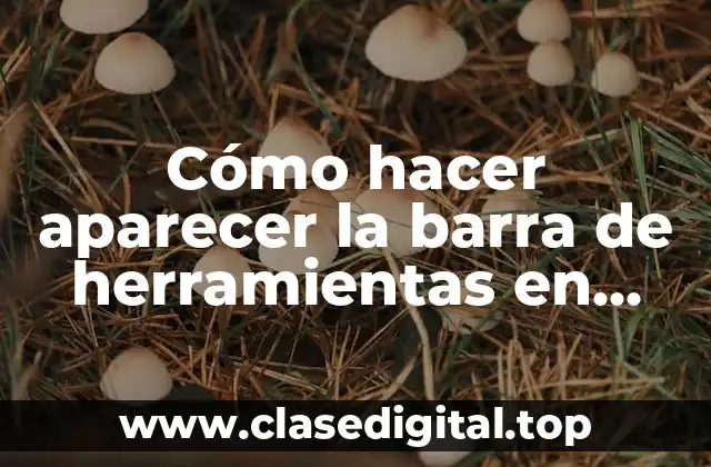 Cómo hacer aparecer la barra de herramientas en Sublime Text