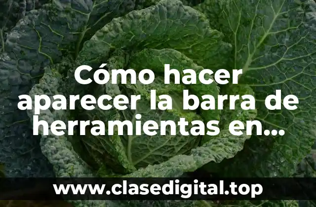 Cómo hacer aparecer la barra de herramientas en Word 2007