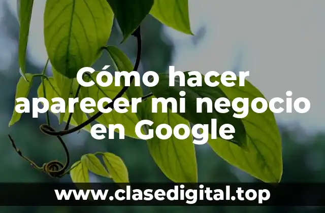 Cómo hacer aparecer mi negocio en Google