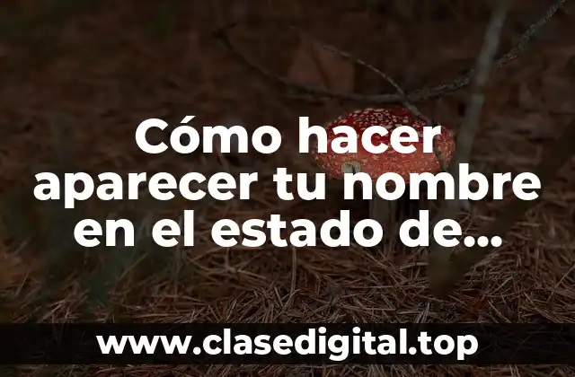 ¿Qué es el estado de WhatsApp y cómo se utiliza?