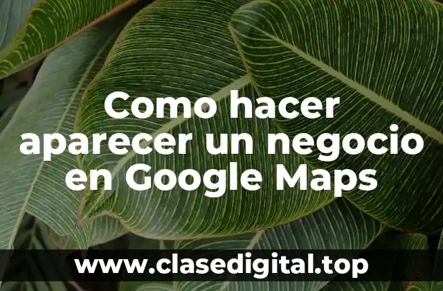 ¿Qué es Google My Business y cómo funciona?