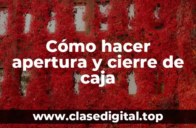 Cómo hacer apertura y cierre de caja
